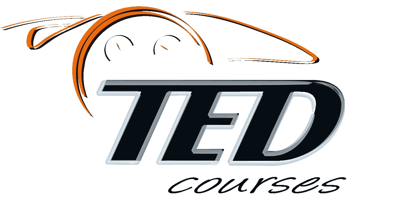 TED Course